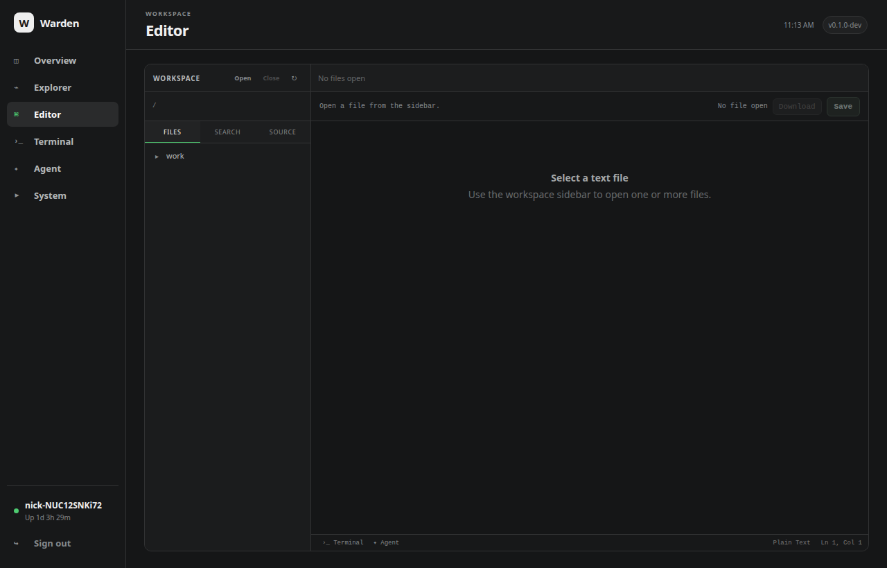 Warden workspace editor with an open Go file and file browser